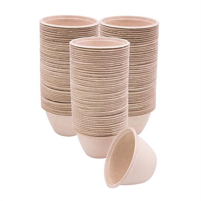 Sugarcane cup with lid from mmcis china